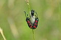 18 07 13_5466_edited-1